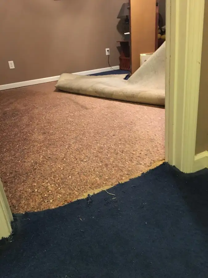 Carpet pad removal revealing water damage during Drying & Dehumidification in St. Augustine